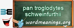 WordMeaning blackboard for pan troglodytes schweinfurthii